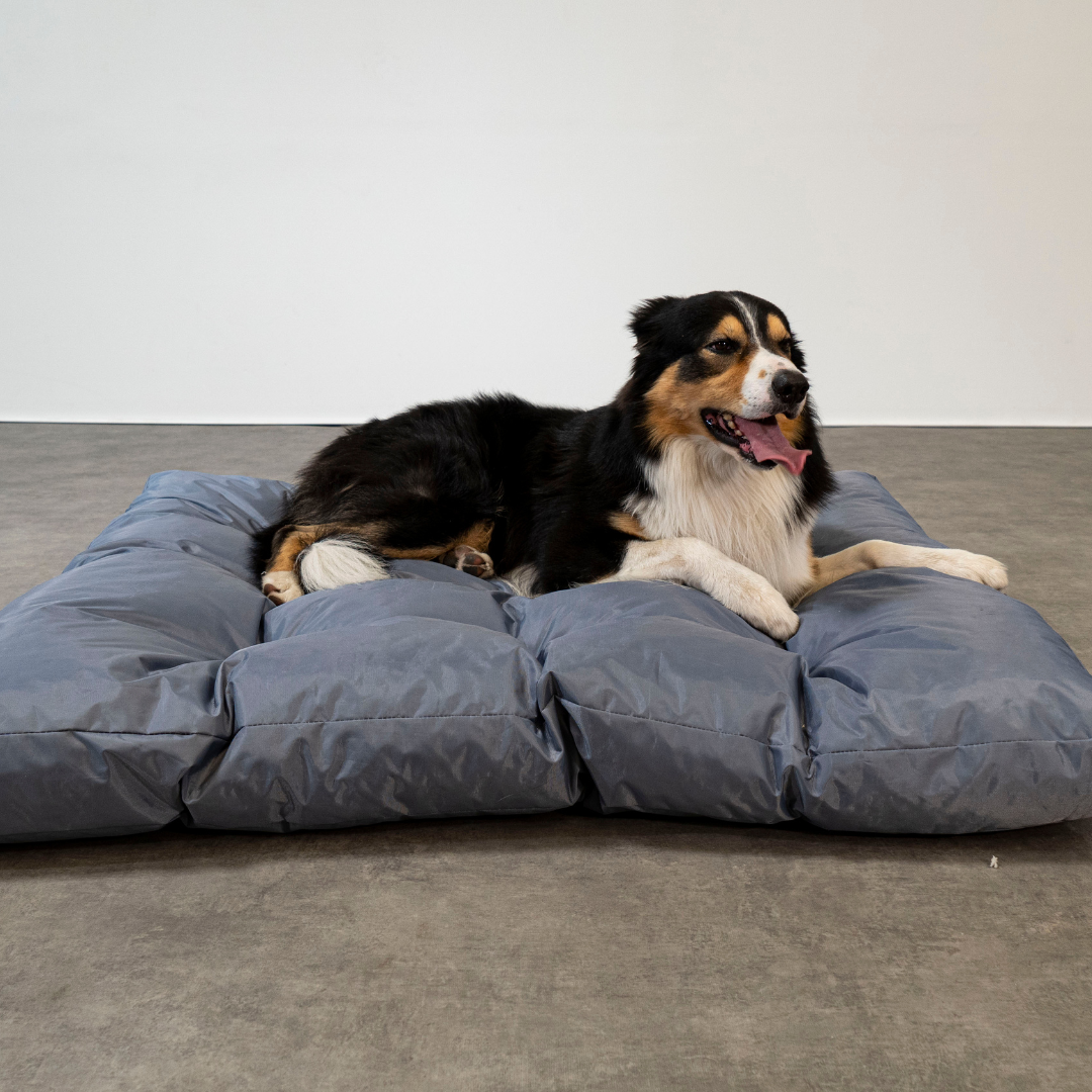 Hundekorb - 125x110x15 cm