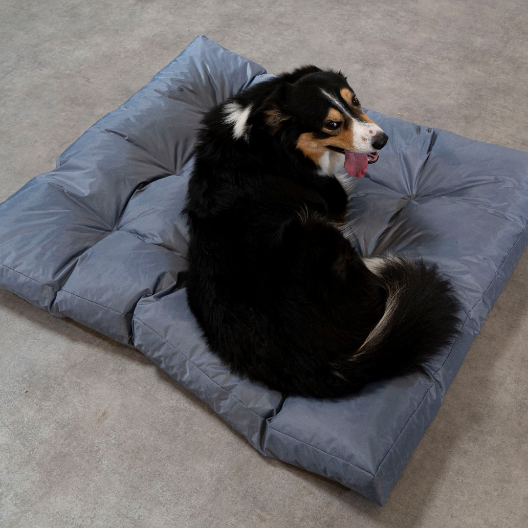 Hundekorb - 125x110x15 cm