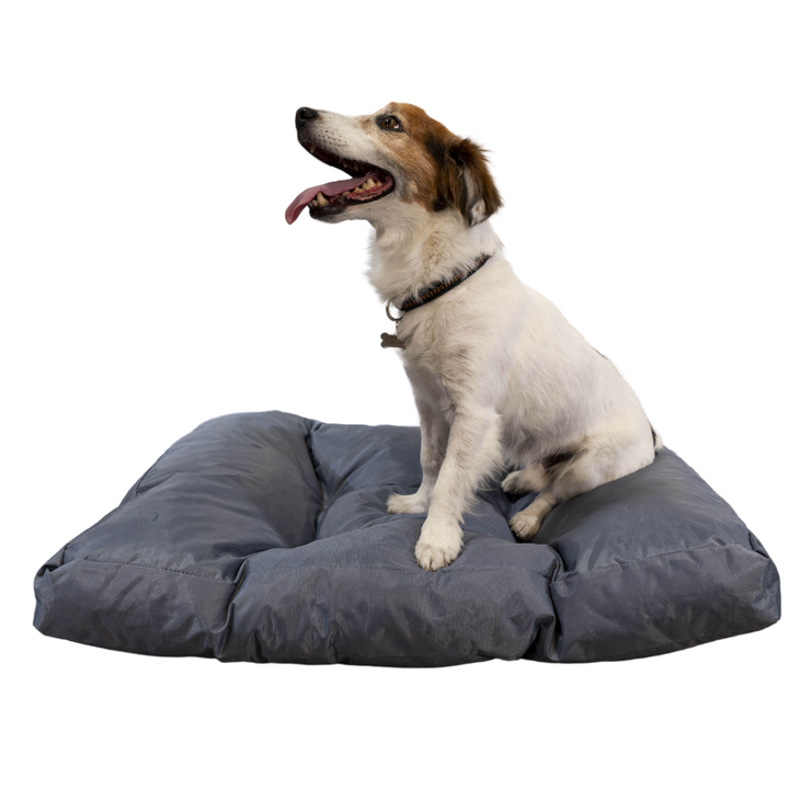 Hundebett - 75x50x10 cm