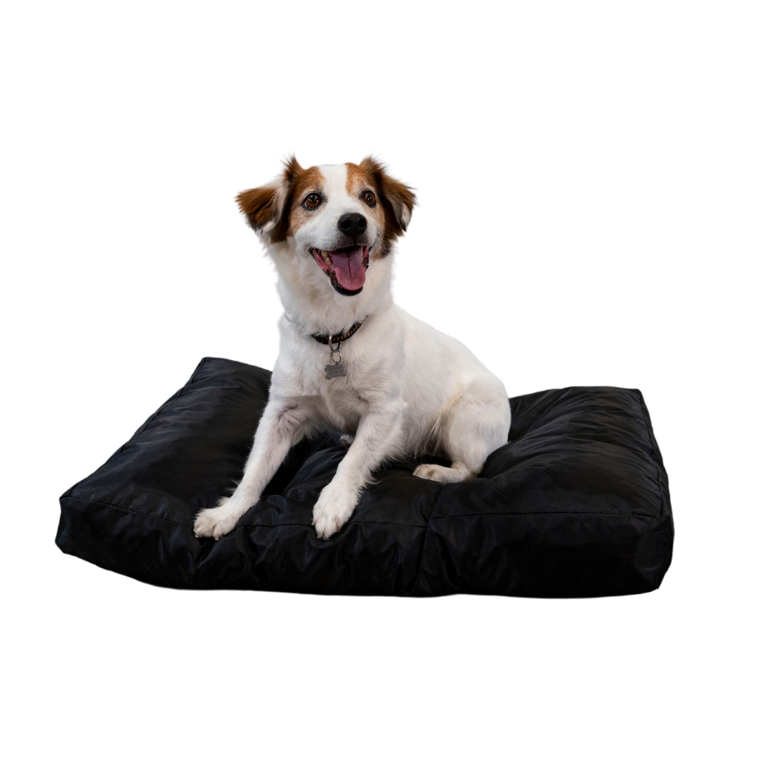 Hundebett - 75x50x10 cm