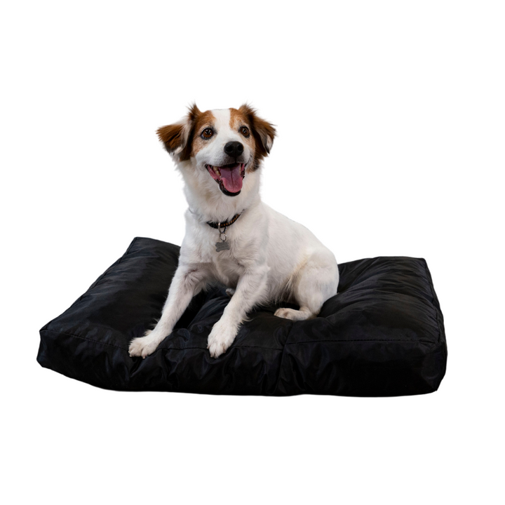 Hundebett - 75x50x10 cm