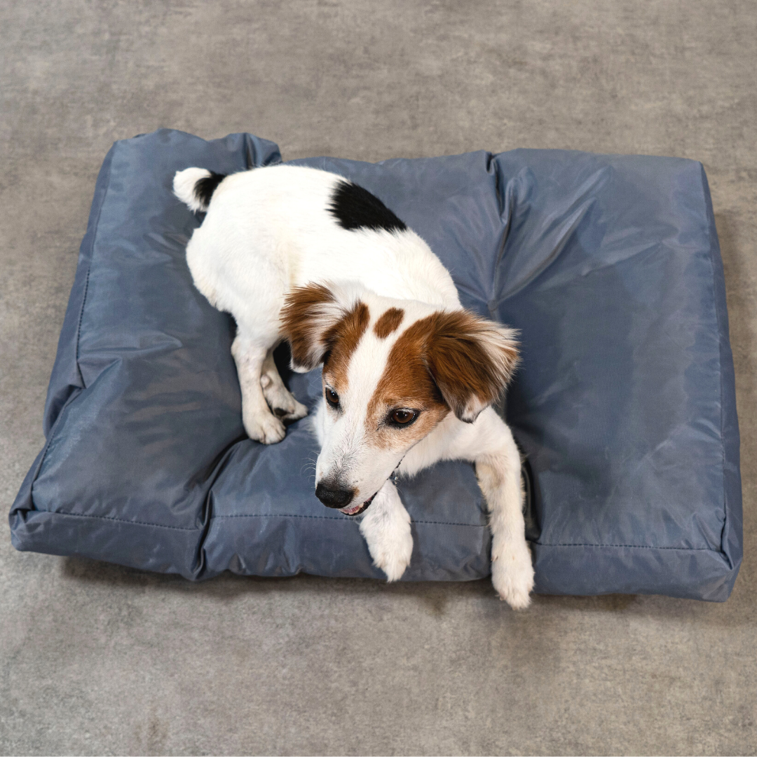 Hundebett - 75x50x10 cm