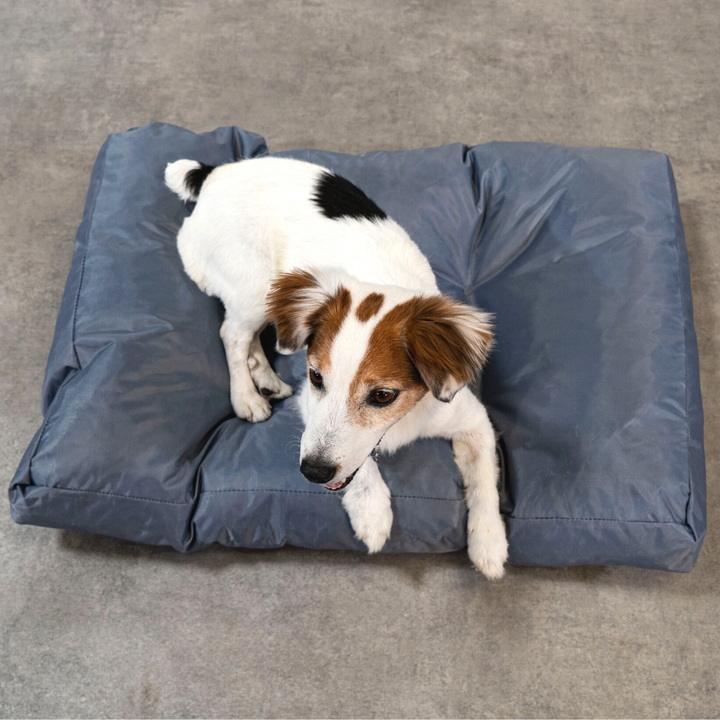 Hundebett - 75x50x10 cm