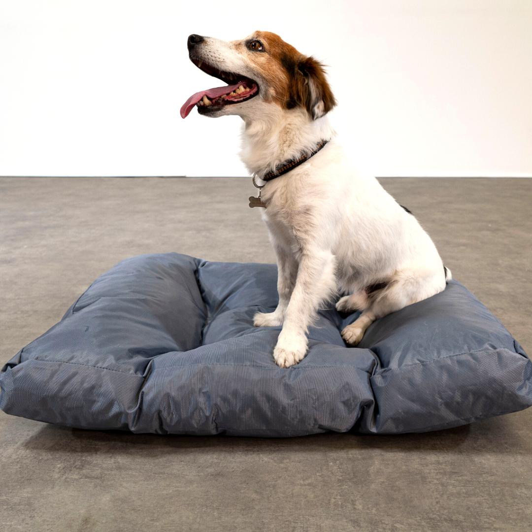 Hundebett - 75x50x10 cm