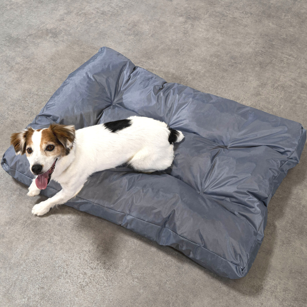 Hundekorb - 90x65x10 cm
